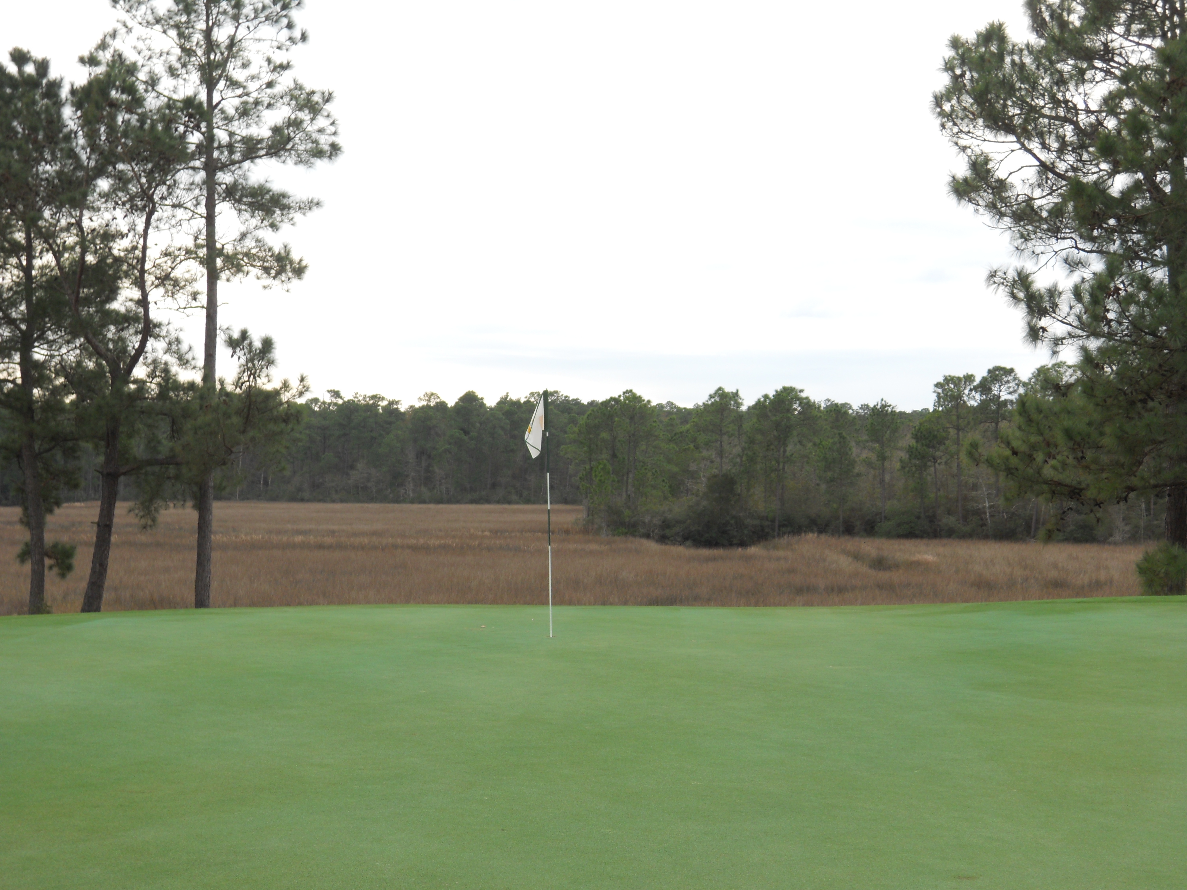 Schoolnik's golf travels at Shell Landing Gautier Mississippi