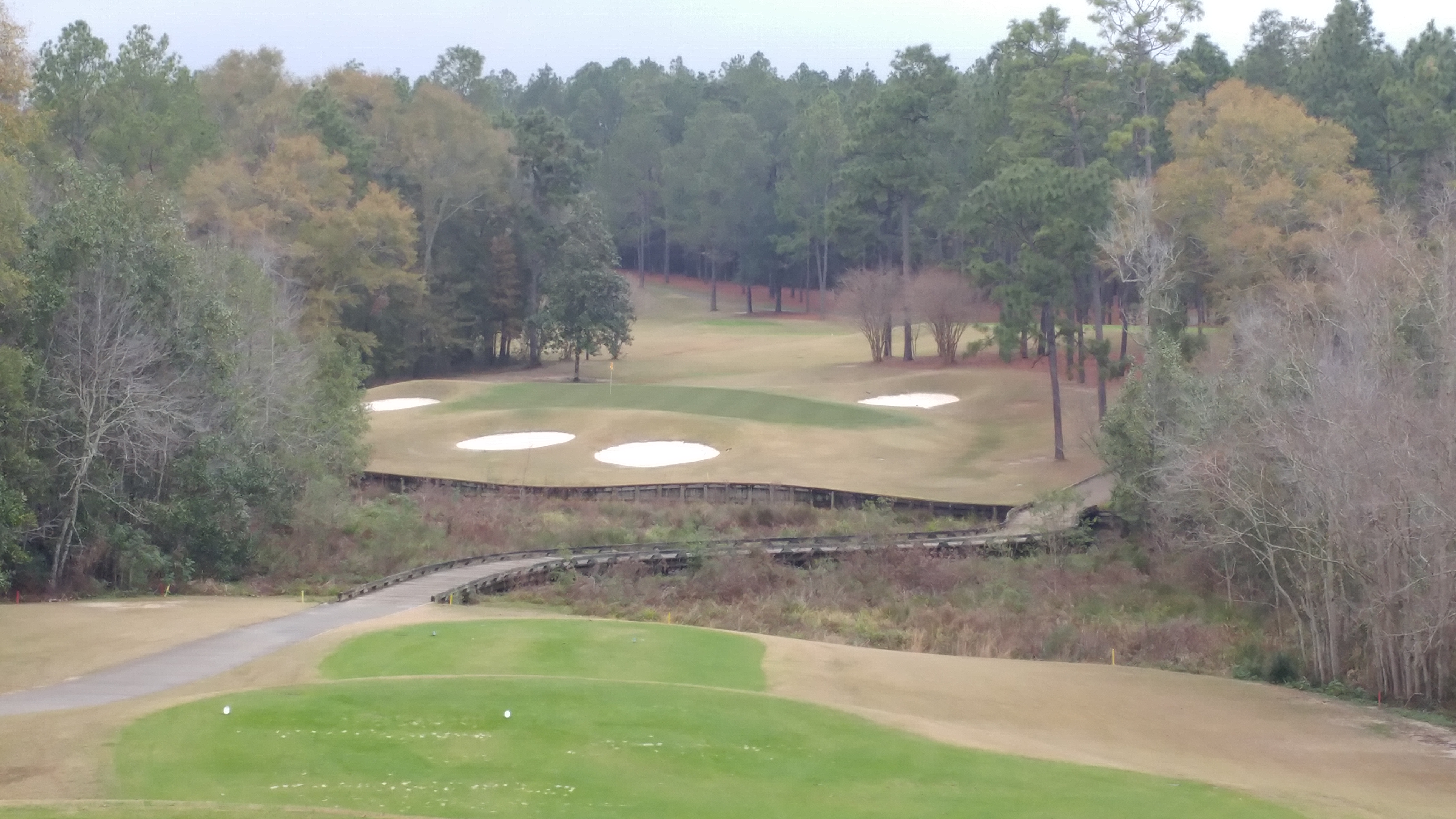 Schoolnik's golf experience at The Crossings Course at the Magnolia Grove Golf Course Mobile Alabama