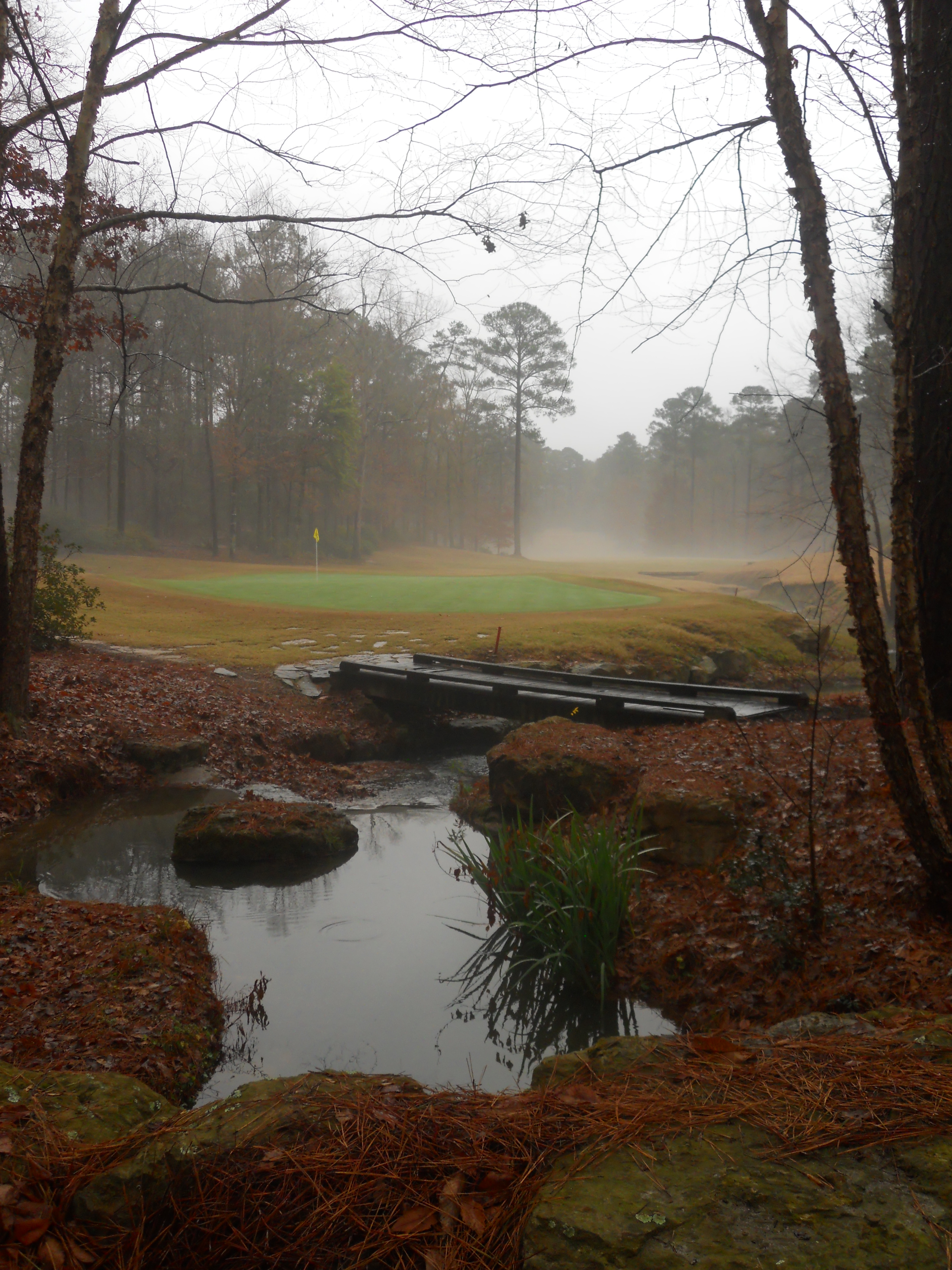 The Azaleas Course at Dancing Rabbit Golf Club Philadelphia, Mississippi. Golf green beside a creek on a foggy day.