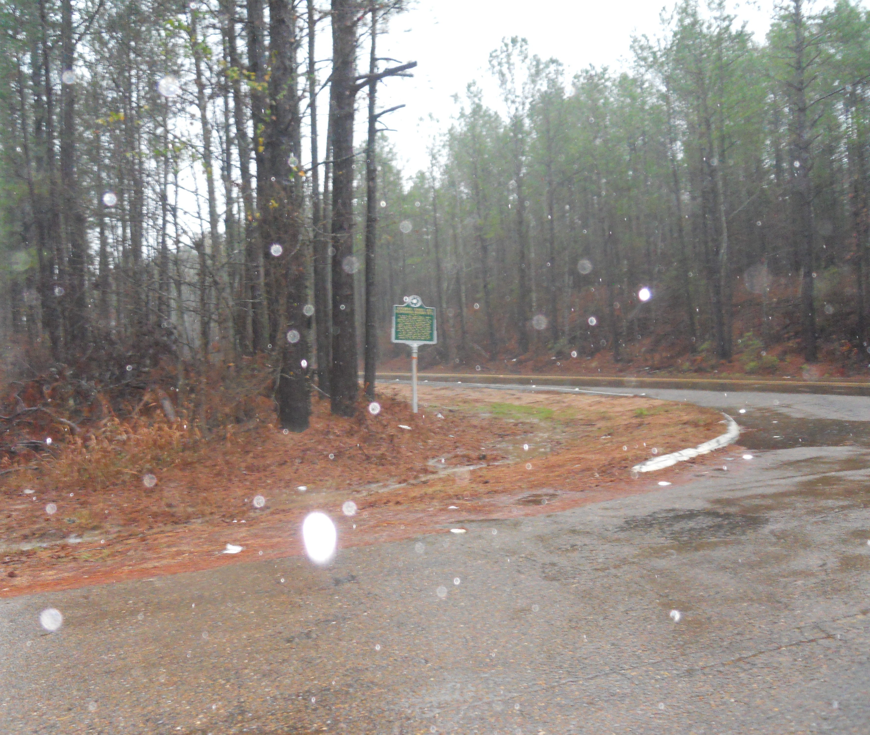 Freedom Summer Murder Site Outside of Philadelphia, Mississippi. Historical marker beside wooded road on rainy day.