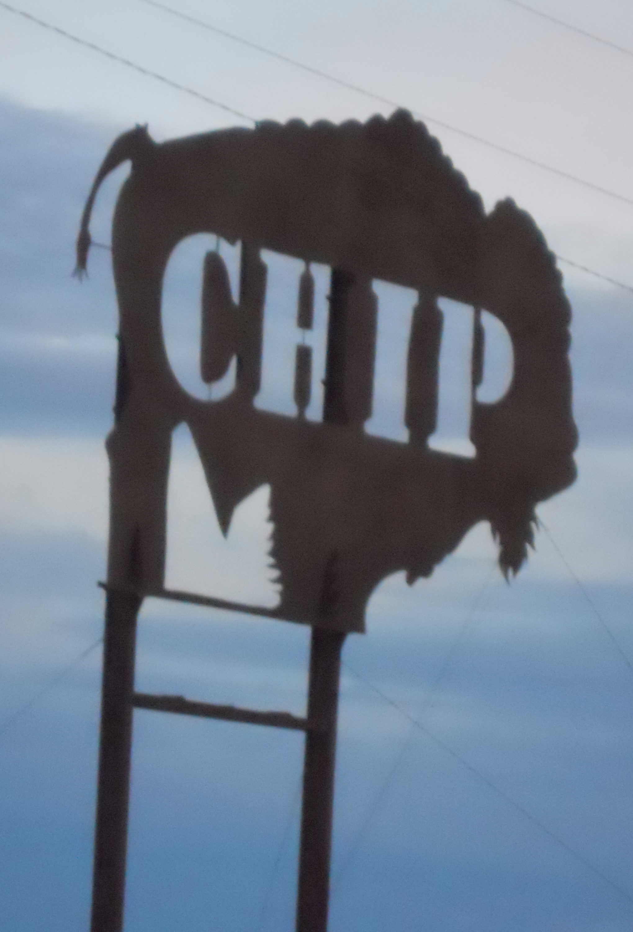 Buffalo Chip, Sturgis, North Dakota. Metal signon post